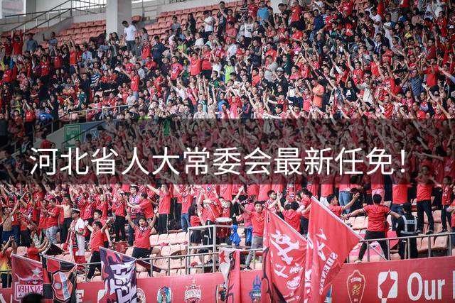 河北省人大常委会最新任免！